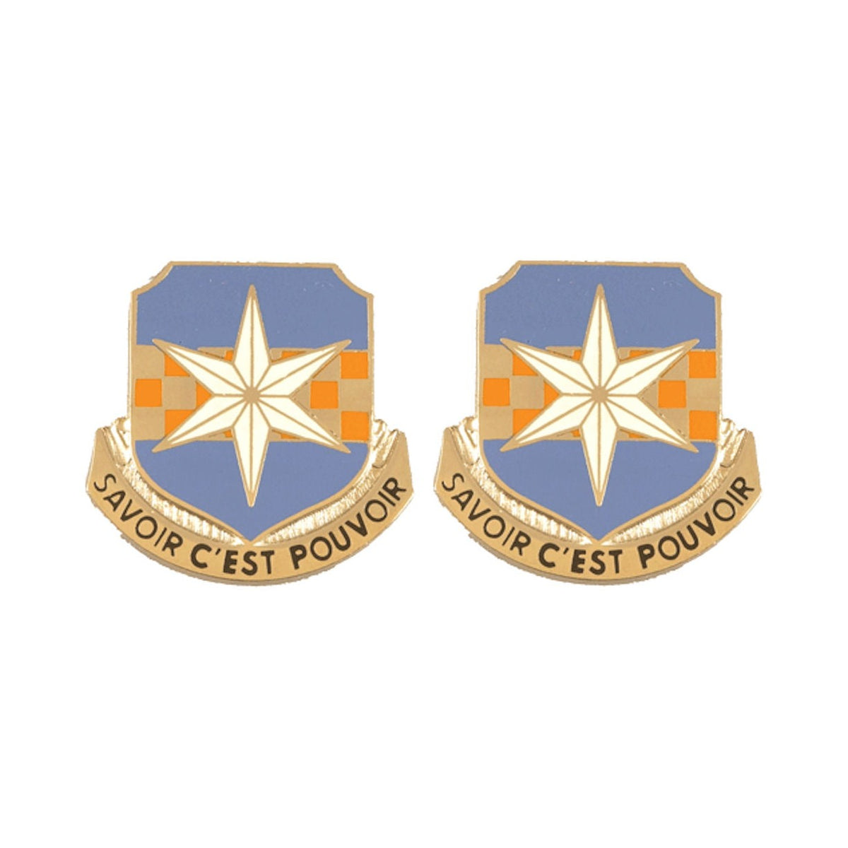313th MILITARY INTELLIGENCE BATTALION Distinctive Unit Insignia - Pair