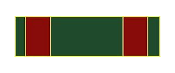 Republic of Vietnam Civil Actions 2nd Class Medal Lapel Pin