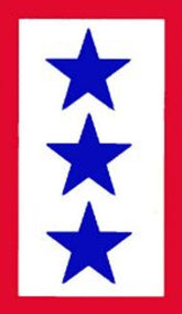 CLEARANCE - 3 Blue Star Sticker - Inside Window