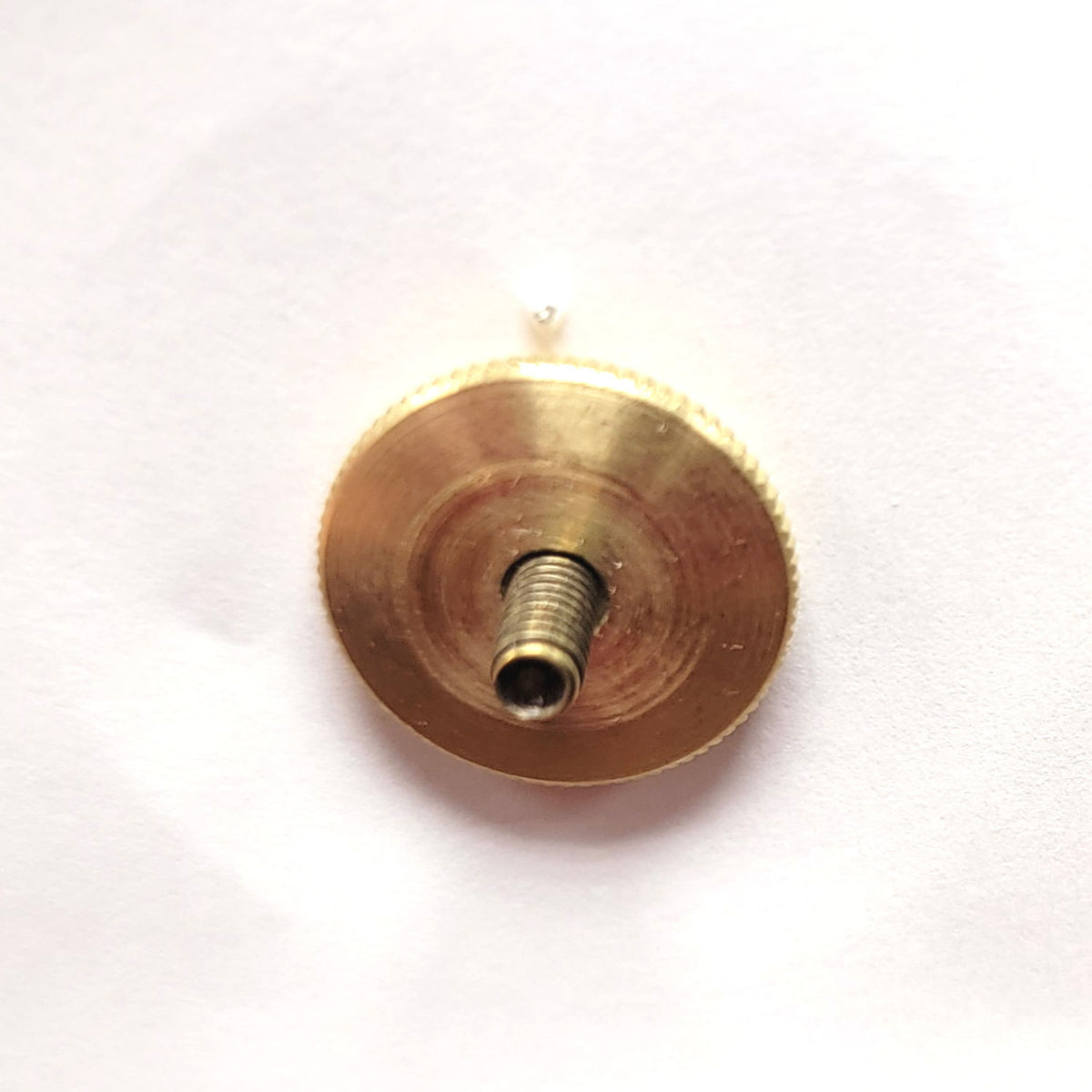 AGSU Enlisted Cap Device - U.S. Army