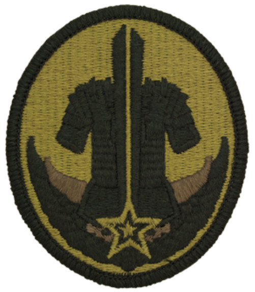 Army Reserve Careers Division OCP Patch - U.S. Army Patch