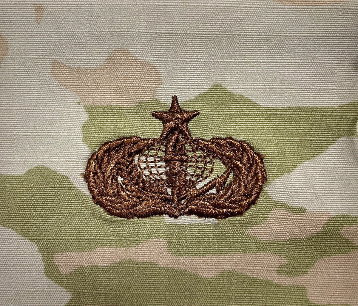 Services Badge OCP - Air Force Occupational Badge