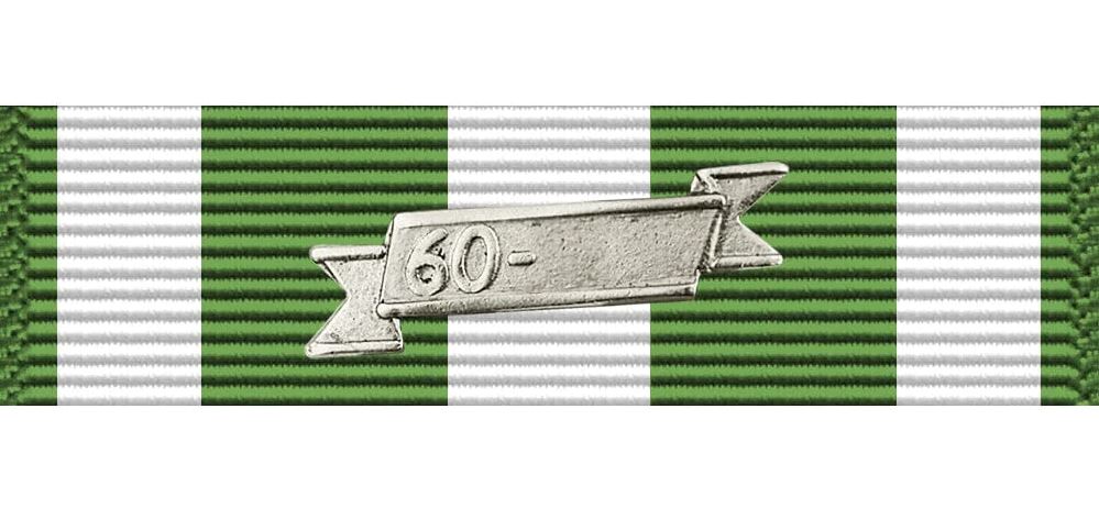 Vietnam Campaign with Date Bar Ribbon