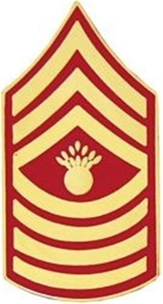 E-9 MGYSGT Hat Pin GOLD-RED