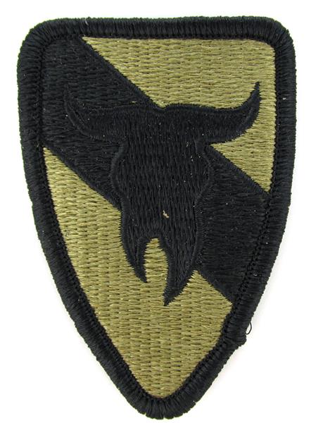 163rd ACR (Armored Cavalry Regiment) OCP Patch - U.S. Army Patch