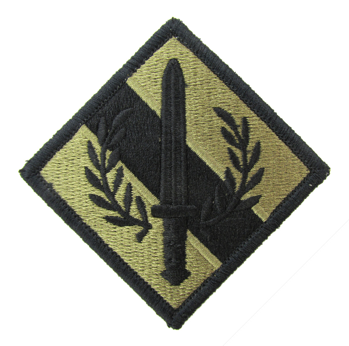 201st Regional Support Group OCP Patch - U.S. Army Patch