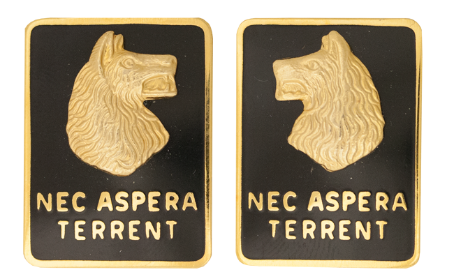 27th Infantry Division Unit Crest DUI - 1 Pair - NEC ASPERA TERRENT