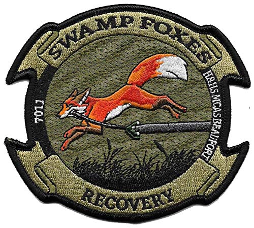 MCAS Beauford Swamp Foxes Recovery SAR - CLEARANCE!