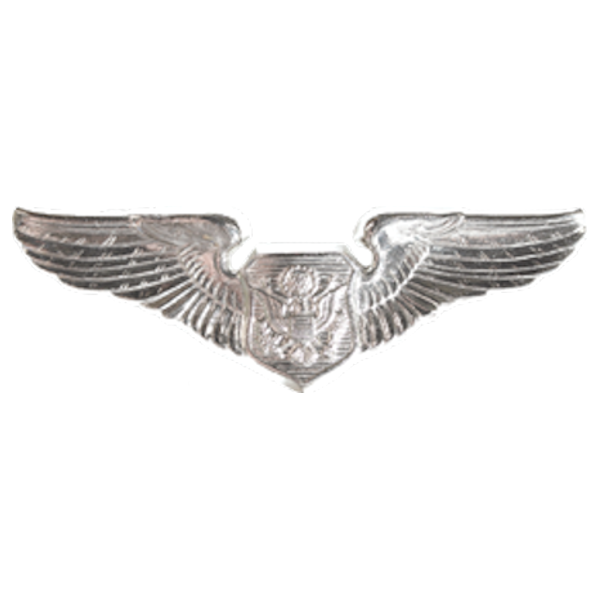 Genuine U.S. AIR FORCE BADGE: AIR MAINTENANCE: SENIOR - MIDSIZE