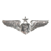 Air Force Badge - Flight Nurse Senior