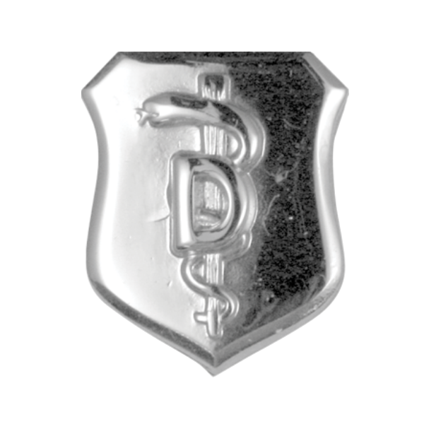 Air Force Badge - Dentist