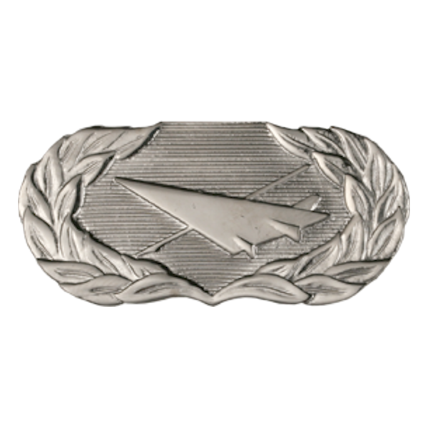 Air Force Badge - Historian