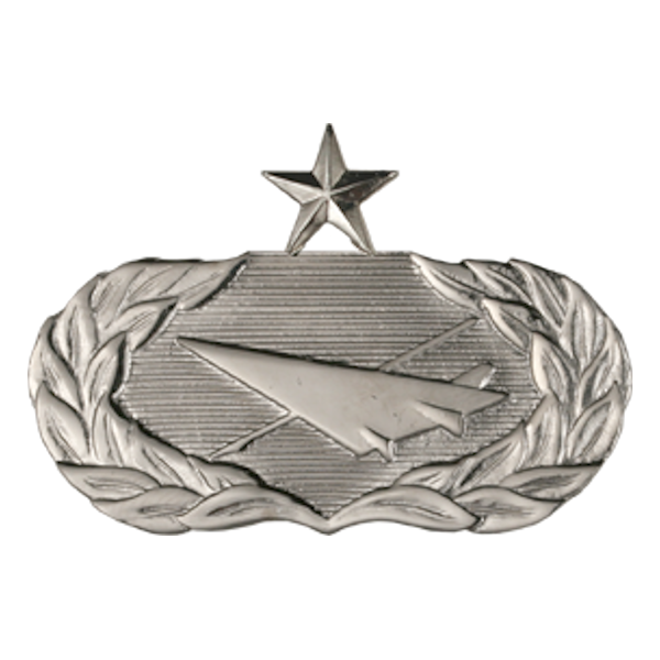 Air Force Badge - Historian Senior