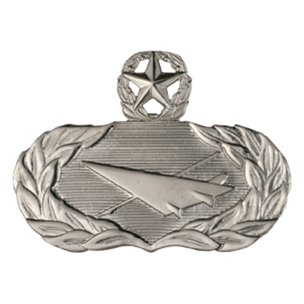 Air Force Badge - Historian Master