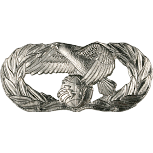 Air Force Badge - Transportation Basic