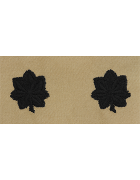 Vintage U.S. Air Force Officer Rank - DESERT