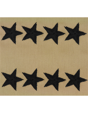 Vintage U.S. Air Force Officer Rank - DESERT