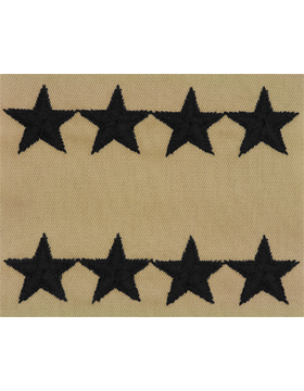 Vintage U.S. Air Force Officer Rank - DESERT