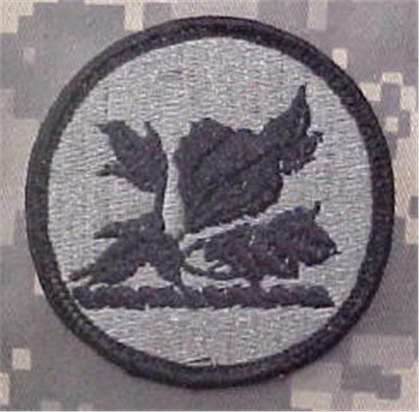 Alabama Army National Guard ACU Patch