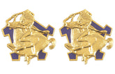 9th Cavalry Distinctive Unit Insignia - Pair