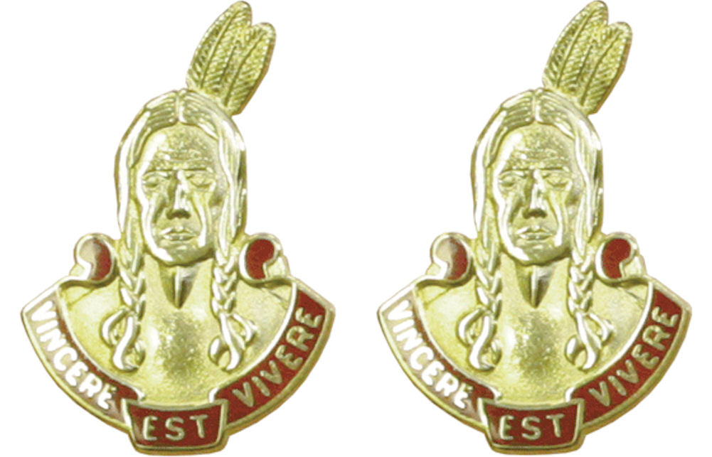 101st Field Artillery Massachussetts Distinctive Unit Insignia - Pair - VINCERE EST VIVERE