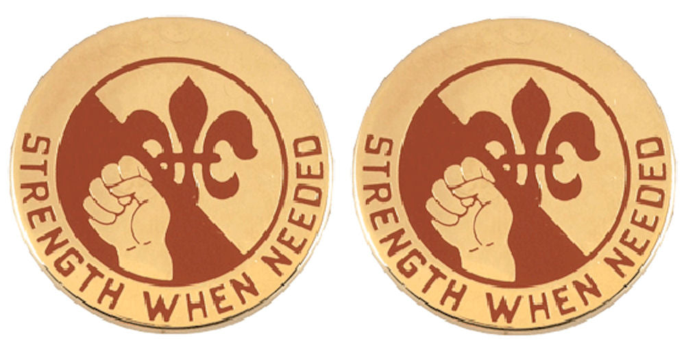 249th GEN HOSPITAL Distinctive Unit Insignia - Pair
