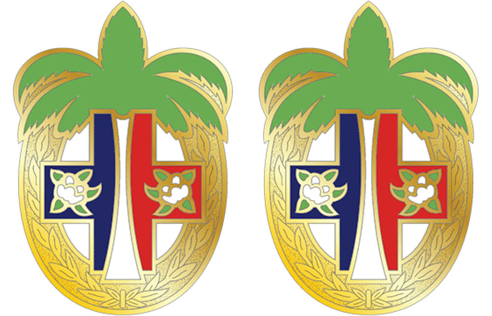 305th FIELD HOSP USAR Distinctive Unit Insignia - Pair