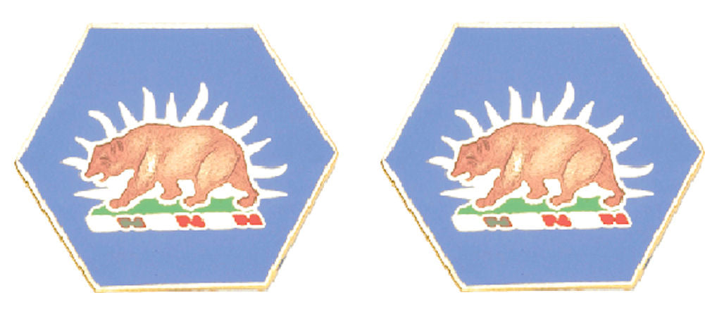 CALIFORNIA STARC Distinctive Unit Insignia - Pair