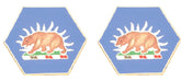 CALIFORNIA STARC Distinctive Unit Insignia - Pair