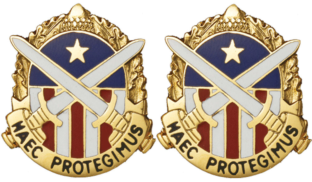 DISTRICT OF COLUMBIA STARC Distinctive Unit Insignia - Pair
