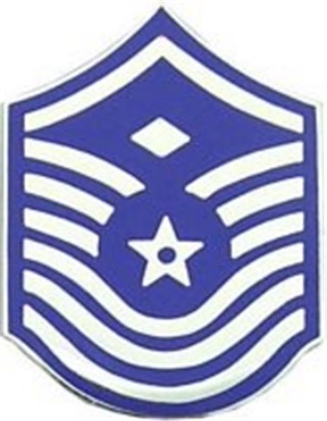 USAF E-8 1stSgt Small Hat Pin