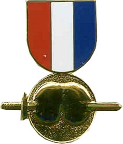 Pain In The Ass Medal Large Pin