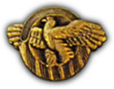 Ruptured Duck Small Hat Pin