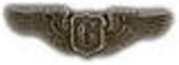 Glider Pilot Wings Small Pin