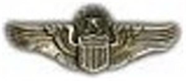 Command Pilot Wings Small Pin