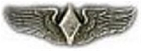 Wasp Wing Wings Small Pin