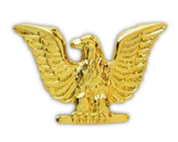 Eagle Navy Small Pin
