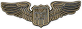 Private Pilot Large Pin