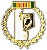 Delaware POW Large Pin