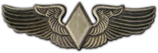 Wasp Large Pin - CLEARANCE!