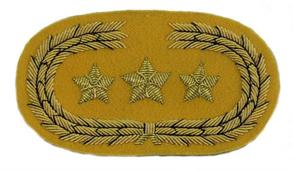 Civil War Confederate Officer's Collar Rank - CAVALRY