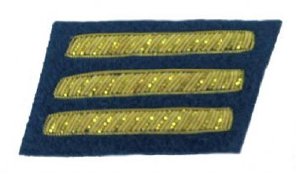 Civil War Confederate Officer's Collar Rank - INFANTRY
