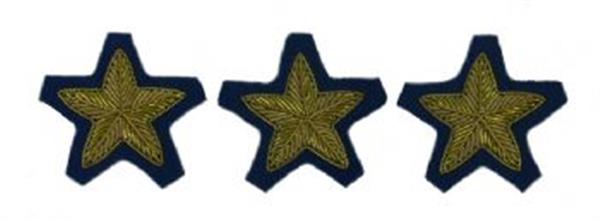 Civil War Confederate Officer's Collar Rank - INFANTRY