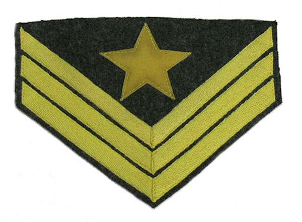 Civil War Confederate Rank Chevron - CAVALRY