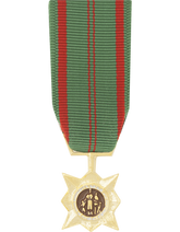 Vietnam Civil Action 1st Class Mini Medal