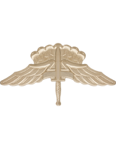 U.S. Army Halo Badge - No Shine Insignia