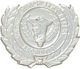 U.S. Army Reserve Recruiter Badge - No Shine Insignia
