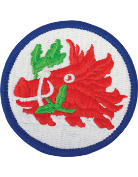 Georgia National Guard Patch
