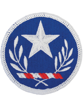 Texas National Guard Patch