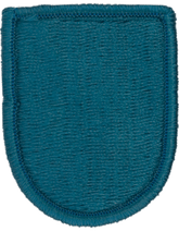 19th Special Forces Group Beret Flash